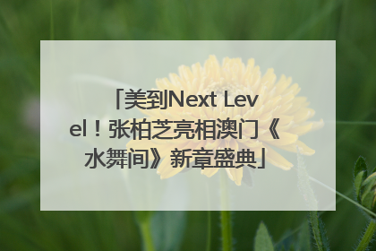 美到Next Level！张柏芝亮相澳门《水舞间》新章盛典