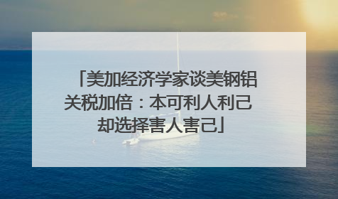 美加经济学家谈美钢铝关税加倍：本可利人利己 却选择害人害己