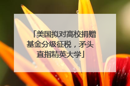 美国拟对高校捐赠基金分级征税，矛头直指精英大学