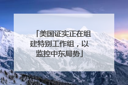 美国证实正在组建特别工作组，以监控中东局势