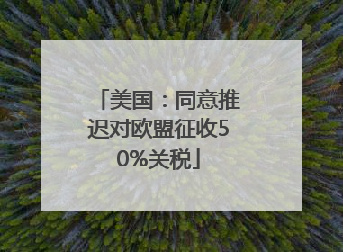美国：同意推迟对欧盟征收50%关税