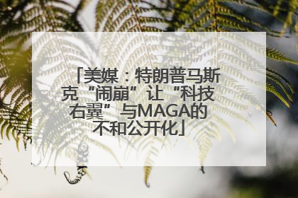 美媒：特朗普马斯克“闹崩”让“科技右翼”与MAGA的不和公开化