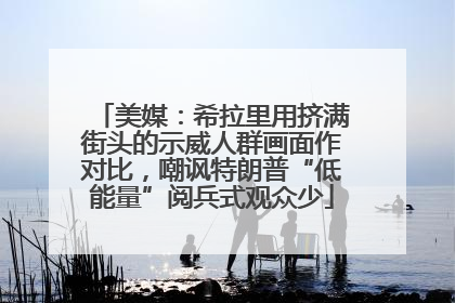 美媒：希拉里用挤满街头的示威人群画面作对比，嘲讽特朗普“低能量”阅兵式观众少