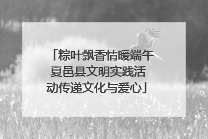 粽叶飘香情暖端午 夏邑县文明实践活动传递文化与爱心