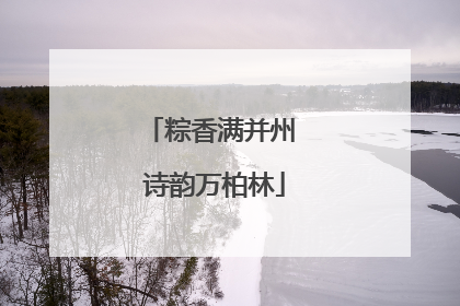 粽香满并州 诗韵万柏林