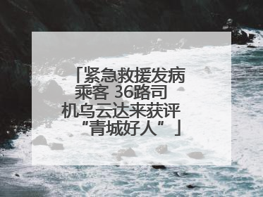 紧急救援发病乘客 36路司机乌云达来获评“青城好人”