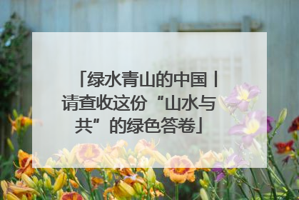 绿水青山的中国丨请查收这份“山水与共”的绿色答卷
