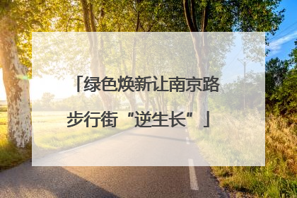 绿色焕新让南京路步行街“逆生长”