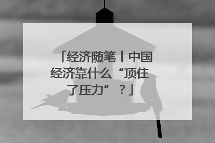 经济随笔丨中国经济靠什么“顶住了压力”？