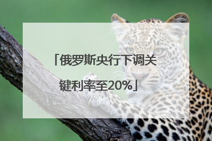 俄罗斯央行下调关键利率至20%