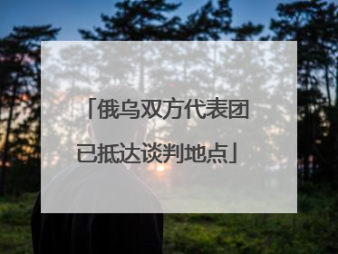俄乌双方代表团已抵达谈判地点