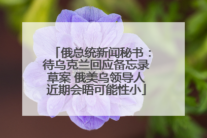 俄总统新闻秘书:待乌克兰回应备忘录草案 俄美乌领导人近期会晤可能性小