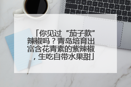 你见过“茄子款”辣椒吗？青岛培育出富含花青素的紫辣椒，生吃自带水果甜