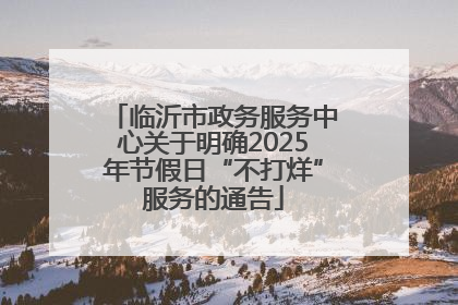临沂市政务服务中心关于明确2025年节假日“不打烊”服务的通告