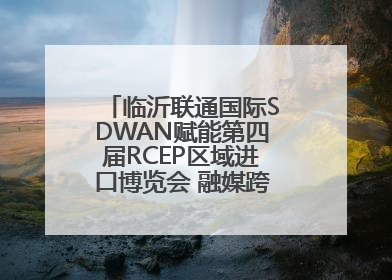 临沂联通国际SDWAN赋能第四届RCEP区域进口博览会 融媒跨境直播畅行无阻