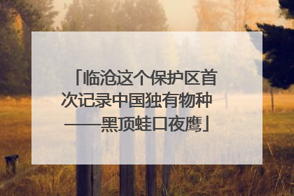 临沧这个保护区首次记录中国独有物种——黑顶蛙口夜鹰
