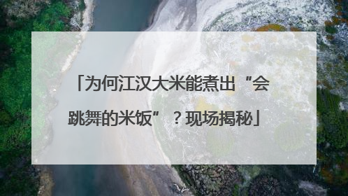 为何江汉大米能煮出“会跳舞的米饭”？现场揭秘