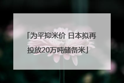 为平抑米价 日本拟再投放20万吨储备米