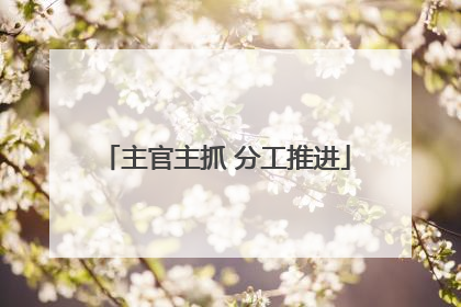 主官主抓 分工推进