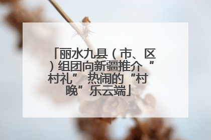 丽水九县（市、区）组团向新疆推介“村礼” 热闹的“村晚”乐云端