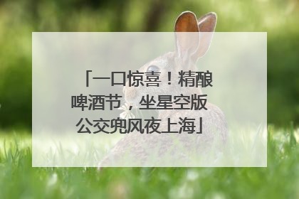 一口惊喜！精酿啤酒节，坐星空版公交兜风夜上海