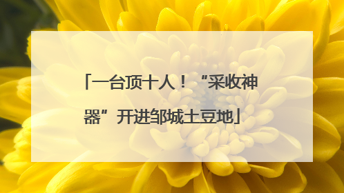 一台顶十人！“采收神器”开进邹城土豆地