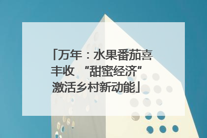 万年：水果番茄喜丰收 “甜蜜经济”激活乡村新动能