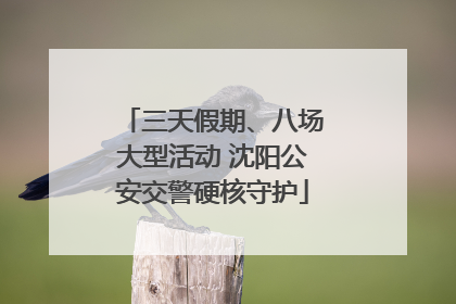 三天假期、八场大型活动 沈阳公安交警硬核守护