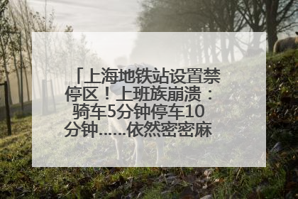 上海地铁站设置禁停区！上班族崩溃：骑车5分钟停车10分钟……依然密密麻麻无从下脚？