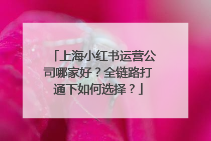 上海小红书运营公司哪家好？全链路打通下如何选择？