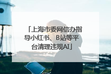 上海市委网信办指导小红书、B站等平台清理违规AI