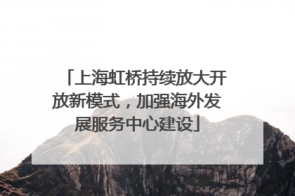 上海虹桥持续放大开放新模式，加强海外发展服务中心建设