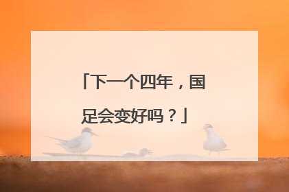 下一个四年，国足会变好吗？