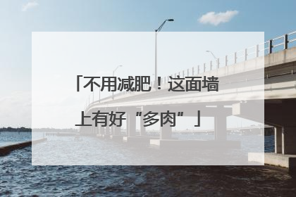 不用减肥！这面墙上有好“多肉”