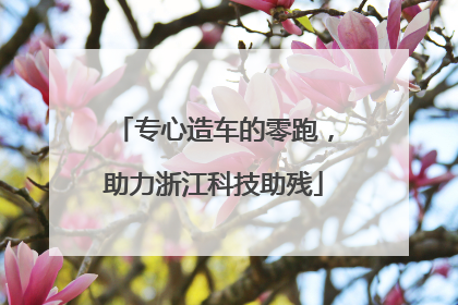 专心造车的零跑，助力浙江科技助残