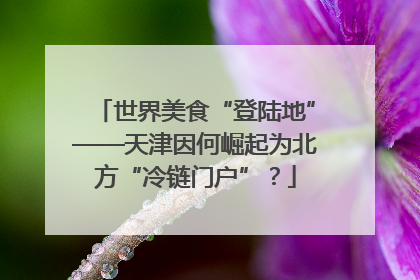 世界美食“登陆地”——天津因何崛起为北方“冷链门户”？