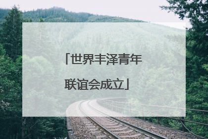 世界丰泽青年联谊会成立