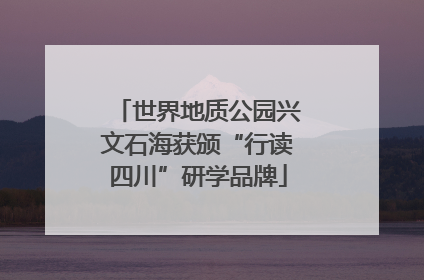世界地质公园兴文石海获颁“行读四川”研学品牌