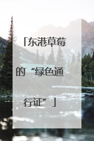 东港草莓的“绿色通行证”