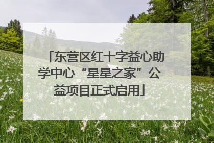 东营区红十字益心助学中心“星星之家”公益项目正式启用