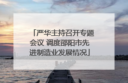 严华主持召开专题会议 调度邵阳市先进制造业发展情况