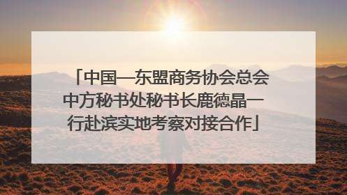 中国—东盟商务协会总会中方秘书处秘书长鹿德晶一行赴滨实地考察对接合作