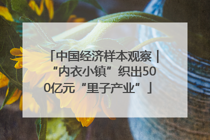 中国经济样本观察｜“内衣小镇”织出500亿元“里子产业”