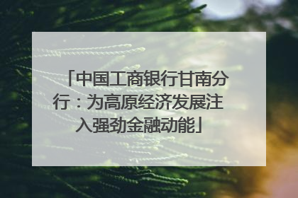 中国工商银行甘南分行：为高原经济发展注入强劲金融动能
