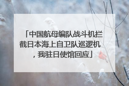 中国航母编队战斗机拦截日本海上自卫队巡逻机，我驻日使馆回应