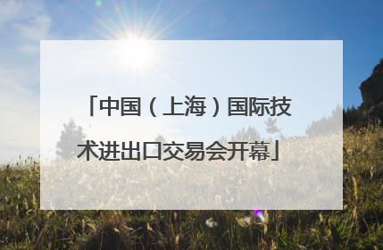 中国（上海）国际技术进出口交易会开幕