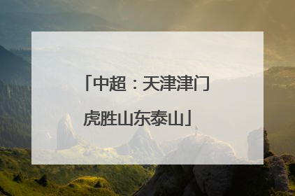 中超：天津津门虎胜山东泰山