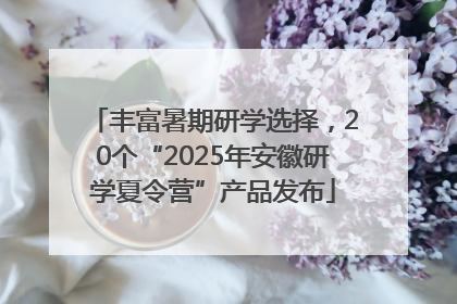 丰富暑期研学选择，20个“2025年安徽研学夏令营”产品发布