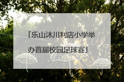 乐山沐川利店小学举办首届校园足球赛