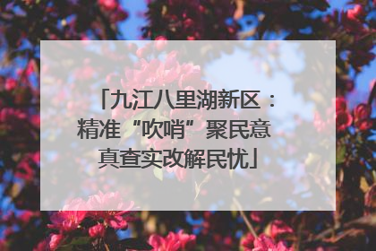 九江八里湖新区：精准“吹哨”聚民意 真查实改解民忧